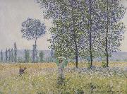 Claude Monet Fields in Spring oil painting on canvas